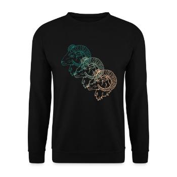 Drei Widder Trio Astrologie Sternzeichen Geschenk - Unisex Pullover - Schwarz - Vorne - Alina (178cm) & Michal (187cm)