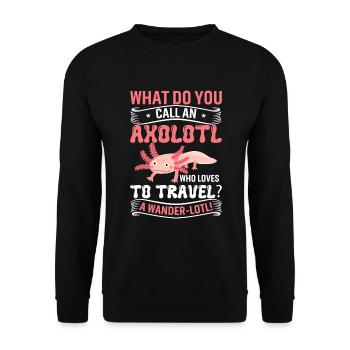 Wie nennt man einen Axolotl, der gerne reist? Ein - Unisex Pullover - Schwarz - Vorne - Alina (178cm) & Michal (187cm)