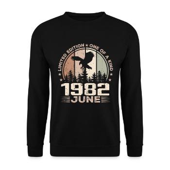 Incomparable depuis juin 1982, 42e Anniversaire - Sweat-shirt Unisexe - noir - Devant - Alina (178cm) & Michal (187cm)
