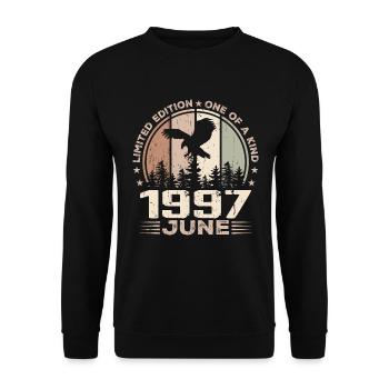 Incomparable depuis juin 1997, 27e Anniversaire - Sweat-shirt Unisexe - noir - Devant - Alina (178cm) & Michal (187cm)
