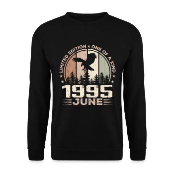 Incomparable depuis juin 1995, 29e Anniversaire - Sweat-shirt Unisexe - noir - Devant - Alina (178cm) & Michal (187cm)
