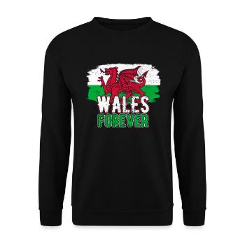 Wales - Unisex Pullover - Schwarz - Vorne - Alina (178cm) & Michal (187cm)