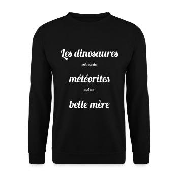 Les dinosaures ont reçu des météorites Humour - Sweat-shirt Unisexe - noir - Devant - Alina (178cm) & Michal (187cm)