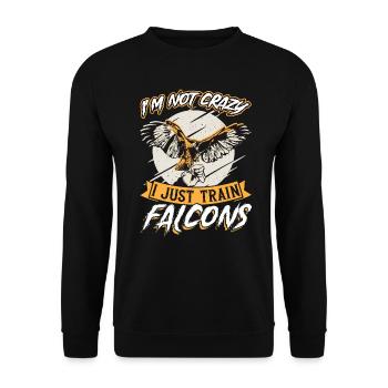 Je ne suis pas fou - Je ne fais que dresser des faucons - Fauconnerie - Sweat-shirt Unisexe - noir - Devant - Alina (178cm) & Michal (187cm)