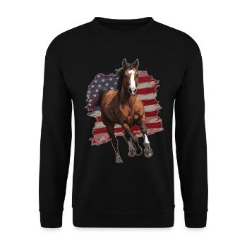 Pferd USA Flagge - Unisex Pullover - Schwarz - Vorne - Alina (178cm) & Michal (187cm)