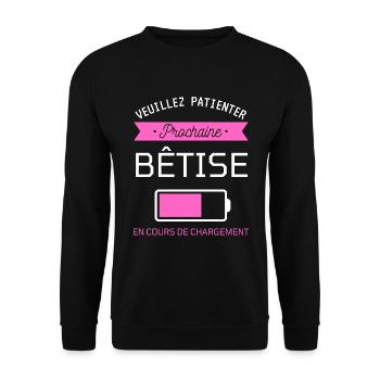 PROCHAINE BÊTISE cadeau humour - Sweat-shirt Unisexe - noir - Devant - Alina (178cm) & Michal (187cm)