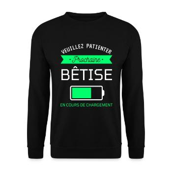 PROCHAINE BÊTISE cadeau humour - Sweat-shirt Unisexe - noir - Devant - Alina (178cm) & Michal (187cm)