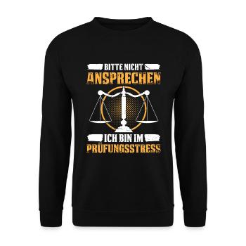 Bitte Nicht Ansprechen Ich Bin Im Prüfungsstress - Unisex Pullover - Schwarz - Vorne - Alina (178cm) & Michal (187cm)