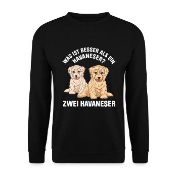 Was ist besser als ein Havaneser? Zwei Havaneser - Unisex Pullover - Schwarz - Vorne - Alina (178cm) & Michal (187cm)