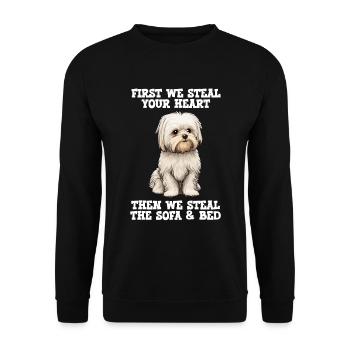 Le chien maltais d’abord nous volons votre cœur - Sweat-shirt Unisexe - noir - Devant - Alina (178cm) & Michal (187cm)