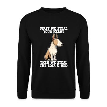 Bull Terrier d’abord nous volons votre cœur - Sweat-shirt Unisexe - noir - Devant - Alina (178cm) & Michal (187cm)