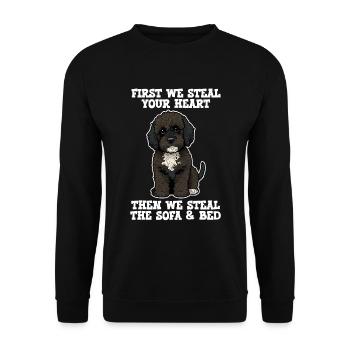 Portugiesischer Wasserhund zuerst stehlen wir dein Herz - Unisex Pullover - Schwarz - Vorne - Alina (178cm) & Michal (187cm)