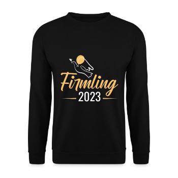 Firmling 2023 Firmung - Unisex Pullover - Schwarz - Vorne - Alina (178cm) & Michal (187cm)