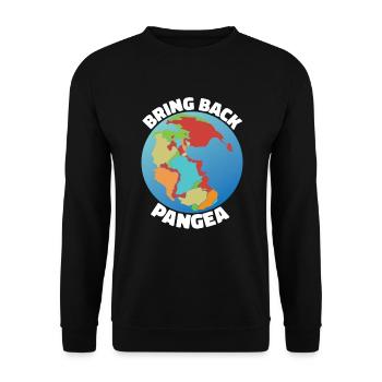 Bringen Sie den Pangaea -Geographielehrer lustig z - Unisex Pullover - Schwarz - Vorne - Alina (178cm) & Michal (187cm)