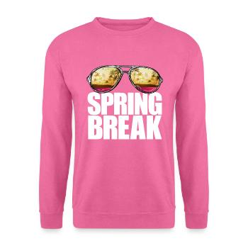 Frühlingsferien Retro Sunset Aviators Frühlingsfer - Unisex Pullover - Pink - Vorne