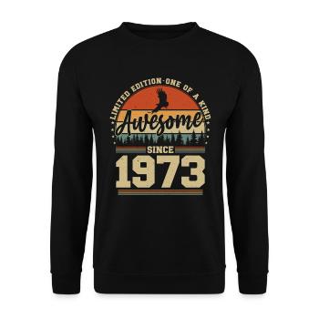 1973 Jahrgang Geburtstag - Awesome since 1973 - Unisex Pullover - Schwarz - Vorne - Alina (178cm) & Michal (187cm)