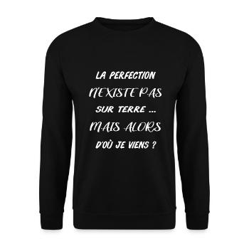La perfection n'existe pas sur terre mais alors... - Sweat-shirt Unisexe - noir - Devant - Alina (178cm) & Michal (187cm)