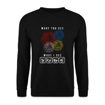 chemistry - Unisex Sweatshirt - black - Front - Alina (178cm) & Michal (187cm)