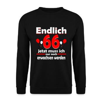 Endlich 66 Jahre 66 Geburtstag Geschenk - Unisex Pullover - Schwarz - Vorne - Alina (178cm) & Michal (187cm)