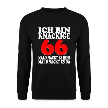 66 Jahre 66 Geburtstag Birthday Geschenk - Unisex Pullover - Schwarz - Vorne - Alina (178cm) & Michal (187cm)