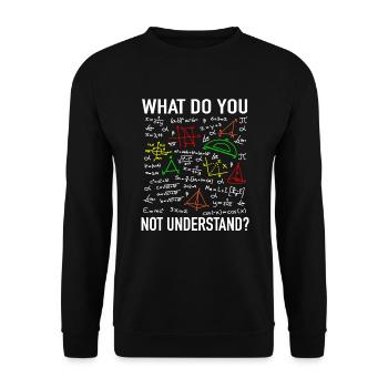 Enseignement des mathématiques professeur de mathématiques physicien étudiant professeur - Sweat-shirt Unisexe - noir - Devant - Alina (178cm) & Michal (187cm)