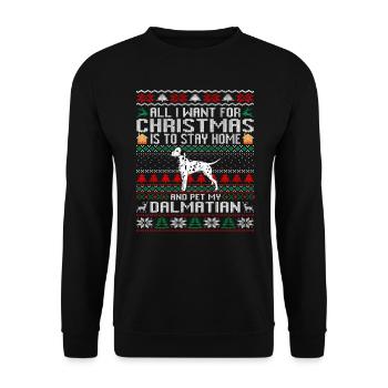 Pull de Noël moche Tout ce que je veux pour Noël - Sweat-shirt Unisexe - noir - Devant - Alina (178cm) & Michal (187cm)