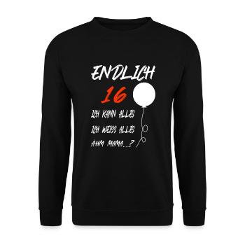 16.Geburtstag Geschenkidee Teenager - Unisex Pullover - Schwarz - Vorne - Alina (178cm) & Michal (187cm)