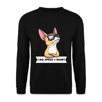Chiweenie chien avec des lunettes de soleil - Sweat-shirt Unisexe - noir - Devant - Alina (178cm) & Michal (187cm)