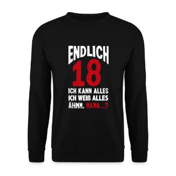 Lustiges 18. Geburtstag Endlich 18 Geschenk - Unisex Pullover - Schwarz - Vorne - Alina (178cm) & Michal (187cm)
