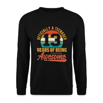 13ème anniversaire filles garçons 13 ans adolescent - Sweat-shirt Unisexe - noir - Devant - Alina (178cm) & Michal (187cm)