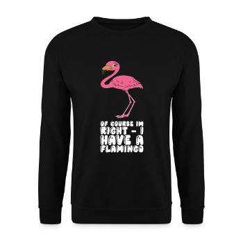 Funny flamingo graphics - Unisex Sweatshirt - black - Front - Alina (178cm) & Michal (187cm)