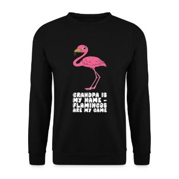 Drôles de graphismes flamants roses - Sweat-shirt Unisexe - noir - Devant - Alina (178cm) & Michal (187cm)
