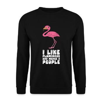 Drôles de graphismes flamants roses - Sweat-shirt Unisexe - noir - Devant - Alina (178cm) & Michal (187cm)