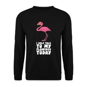 Drôles de graphismes flamants roses - Sweat-shirt Unisexe - noir - Devant - Alina (178cm) & Michal (187cm)