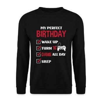 16e anniversaire Jeune joueur de jeu - Sweat-shirt Unisexe - noir - Devant - Alina (178cm) & Michal (187cm)