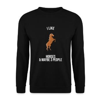 I Like Horses And Maybe 3 People - Unisex Pullover - Schwarz - Vorne - Alina (178cm) & Michal (187cm)
