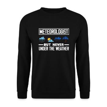 Meteorologe Meteorologie Sturmjäger Geschenk - Unisex Pullover - Schwarz - Vorne - Alina (178cm) & Michal (187cm)