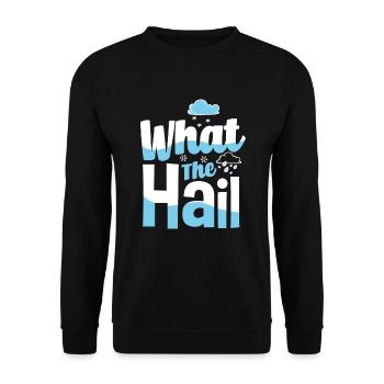Meteorologe Meteorologie Sturmjäger Geschenk - Unisex Pullover - Schwarz - Vorne - Alina (178cm) & Michal (187cm)