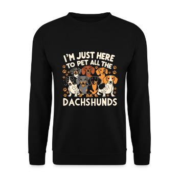 I'm just here to pet all the dachshunds - Unisex Sweatshirt - black - Front - Alina (178cm) & Michal (187cm)