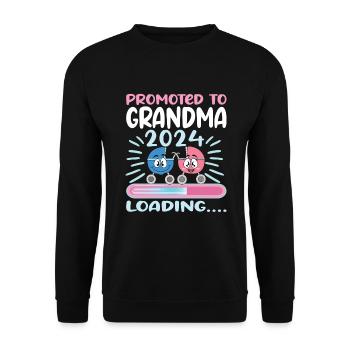 Oma 2024 werdende Oma 2024 Loading - Unisex Pullover - Schwarz - Vorne - Alina (178cm) & Michal (187cm)