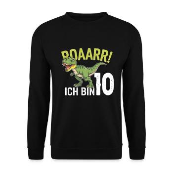 10. Geburtstag 10 Jahre Dino Dinosaurier Fan - Unisex Pullover - Schwarz - Vorne - Alina (178cm) & Michal (187cm)