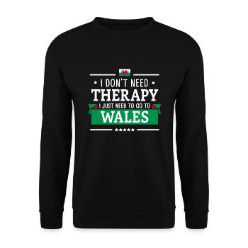 WALES THERAPIE UK FLAGGE CYMRU WALISER GESCHENK - Unisex Pullover - Schwarz - Vorne - Alina (178cm) & Michal (187cm)