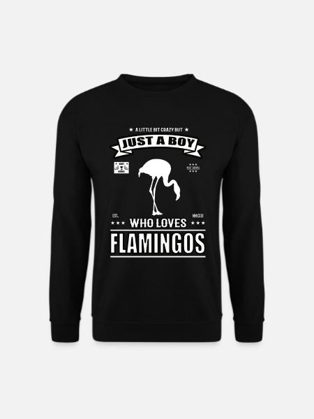 Just a Boy who loves Flamingos Outfit - Unisex Pullover - Schwarz