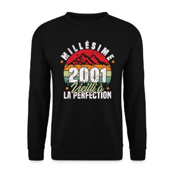 Millésime 2001, Cadeau D'anniversaire Vintage 2001 - Sweat-shirt Unisexe - noir - Devant - Alina (178cm) & Michal (187cm)