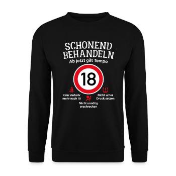 18. Geburtstag Schonend Behandeln 18 Tempolimit 18 - Unisex Pullover - Schwarz - Vorne - Alina (178cm) & Michal (187cm)