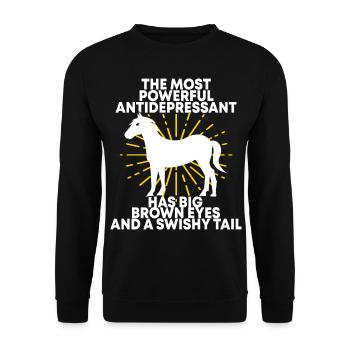 Chevaux amateur de chevaux cadeau d'équitation - Sweat-shirt Unisexe - noir - Devant - Alina (178cm) & Michal (187cm)