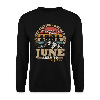 June 1981 Vintage Birthday Gift 42 Years - Unisex Sweatshirt - black - Front - Alina (178cm) & Michal (187cm)