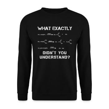 Chemiker Genie Reaktionsgleichung - Unisex Pullover - Schwarz - Vorne - Alina (178cm) & Michal (187cm)