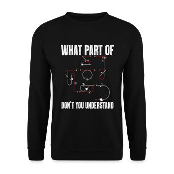 Don't you understand aerobatic Aresti figures - Unisex Sweatshirt - black - Front - Alina (178cm) & Michal (187cm)
