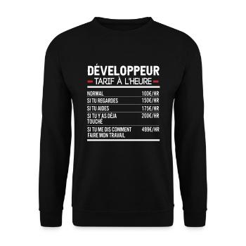 Développeur Idée Cadeau Humour Web - Sweat-shirt Unisexe - noir - Devant - Alina (178cm) & Michal (187cm)